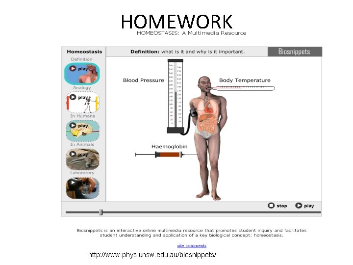 HOMEWORK http: //www. phys. unsw. edu. au/biosnippets/ 