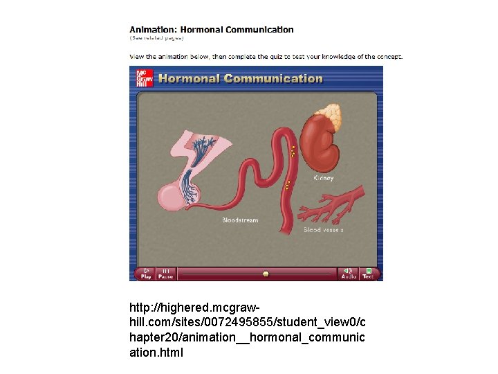 http: //highered. mcgrawhill. com/sites/0072495855/student_view 0/c hapter 20/animation__hormonal_communic ation. html 