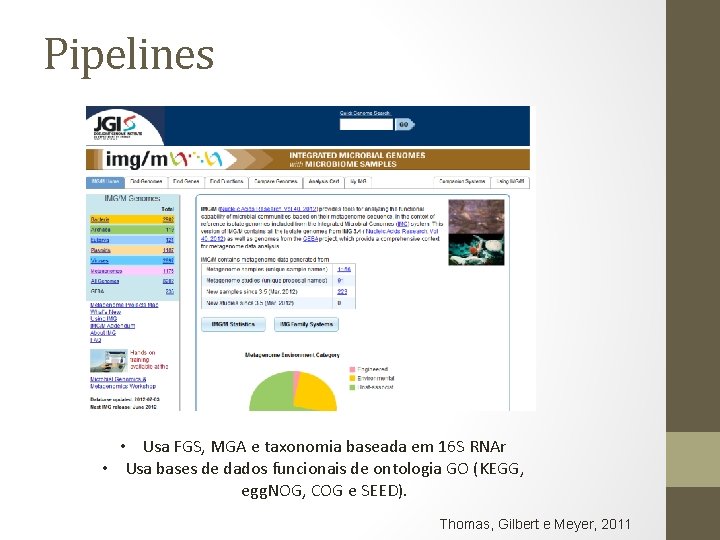 Pipelines • Usa FGS, MGA e taxonomia baseada em 16 S RNAr • Usa
