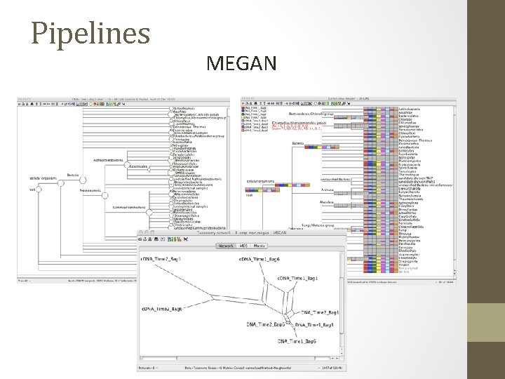 Pipelines MEGAN 