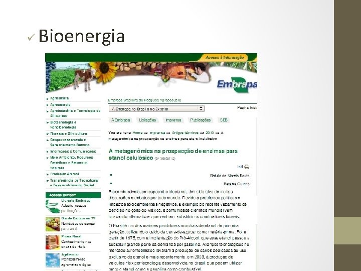 ü Bioenergia 