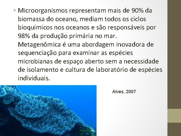  • Microorganismos representam mais de 90% da biomassa do oceano, mediam todos os