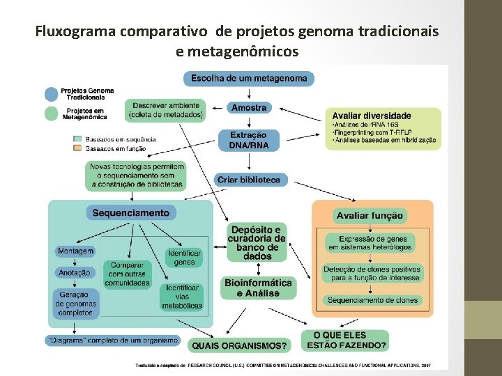 Fluxograma comparativo de projetos genoma tradicionais e metagenômicos 