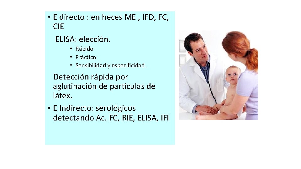  • E directo : en heces ME , IFD, FC, CIE ELISA: elección.
