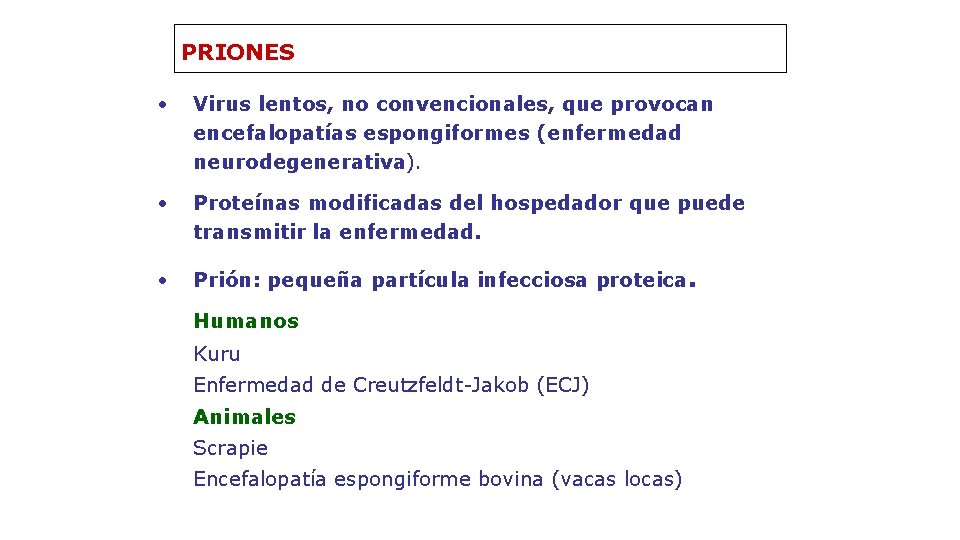 PRIONES • Virus lentos, no convencionales, que provocan encefalopatías espongiformes (enfermedad neurodegenerativa). • Proteínas