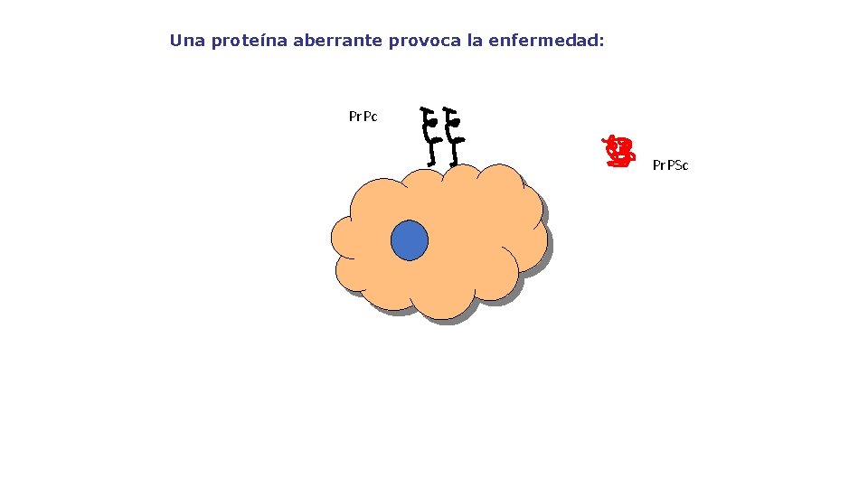 Una proteína aberrante provoca la enfermedad: Pr. Pc Pr. PSc 
