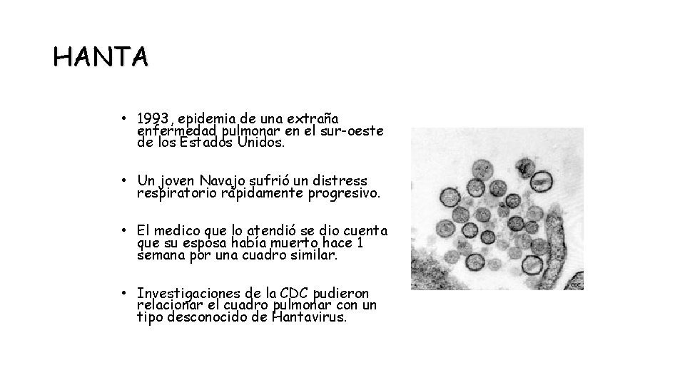 HANTA • 1993, epidemia de una extraña enfermedad pulmonar en el sur-oeste de los