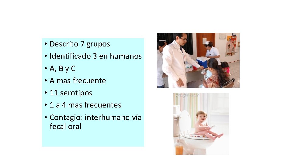 Rotavirus • Descrito 7 grupos • Identificado 3 en humanos • A, B y