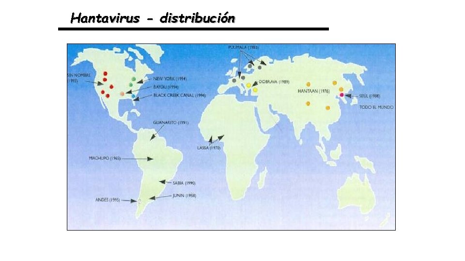 Hantavirus - distribución 