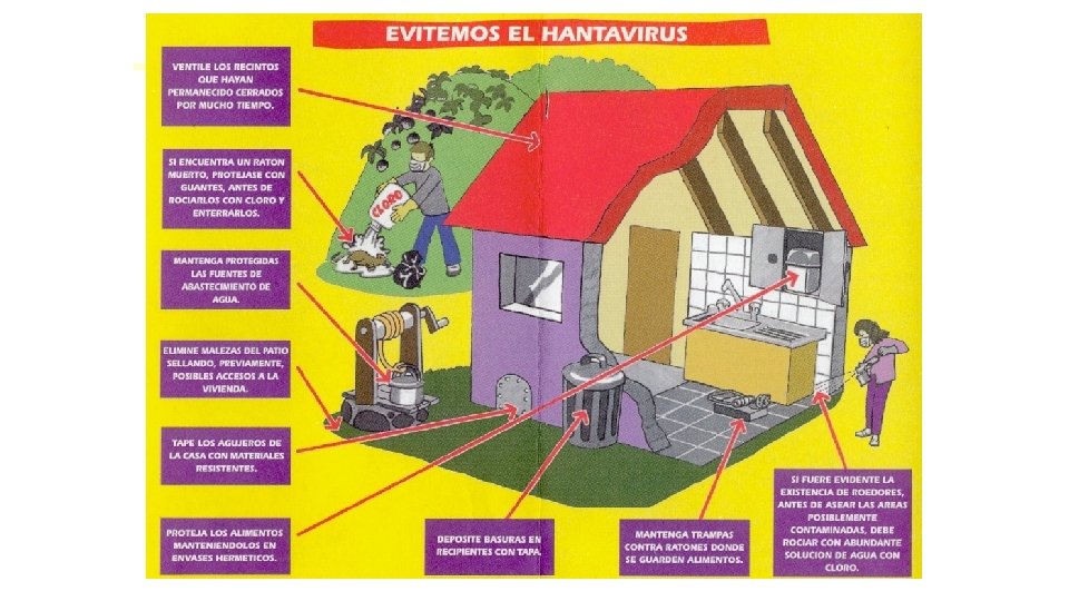 Hantavirus - recomendaciones 