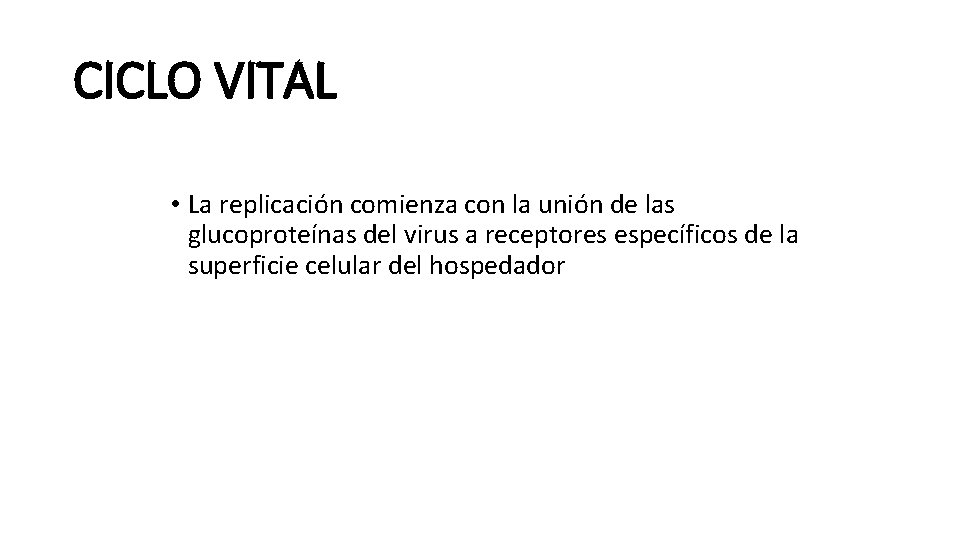 CICLO VITAL • La replicación comienza con la unión de las glucoproteínas del virus