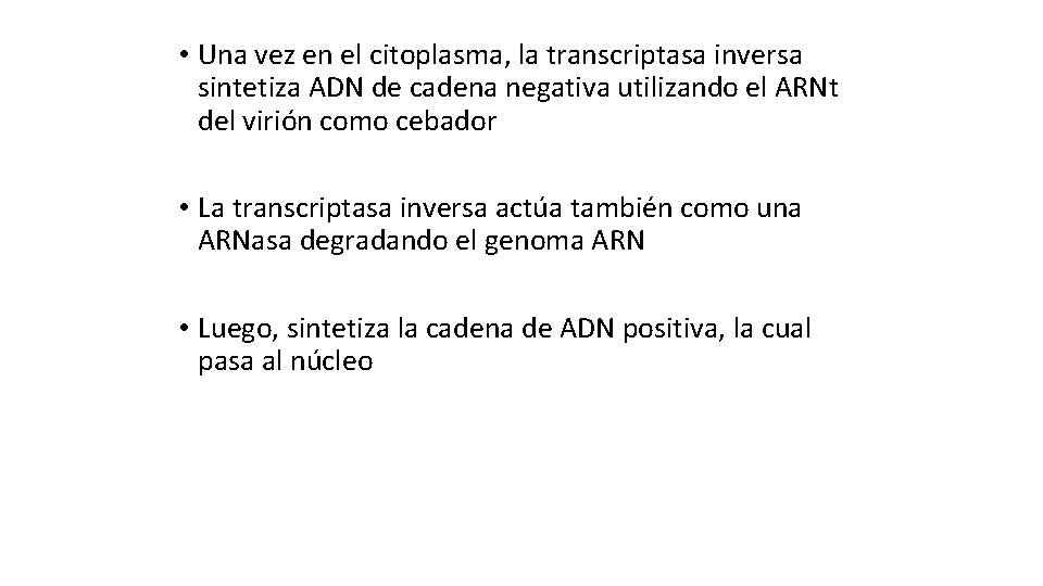  • Una vez en el citoplasma, la transcriptasa inversa sintetiza ADN de cadena