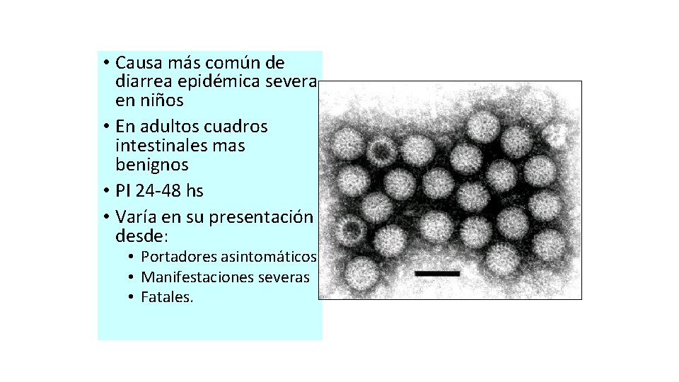  • Causa más común de diarrea epidémica severa en niños • En adultos