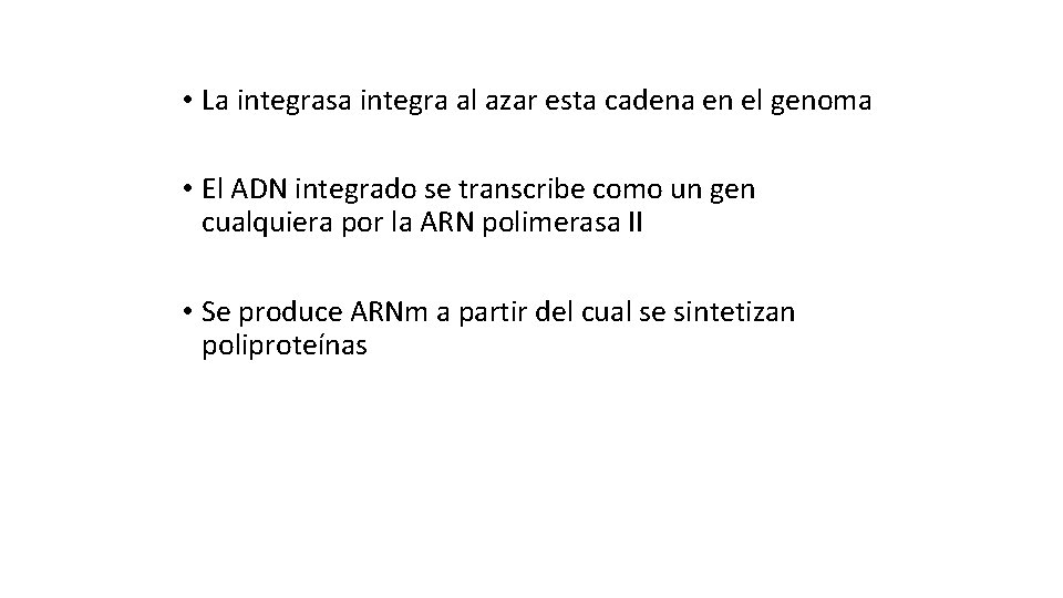  • La integrasa integra al azar esta cadena en el genoma • El