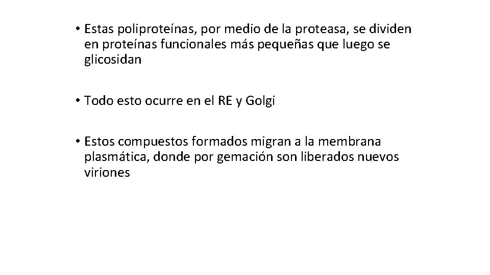  • Estas poliproteínas, por medio de la proteasa, se dividen en proteínas funcionales