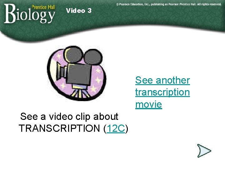 Video 3 See another transcription movie See a video clip about TRANSCRIPTION (12 C)
