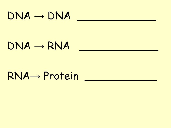 DNA → DNA ______ DNA → RNA ______ RNA→ Protein ______ 