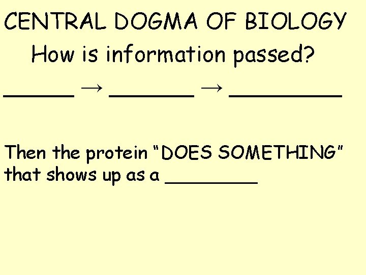 CENTRAL DOGMA OF BIOLOGY How is information passed? _____ → ________ Then the protein