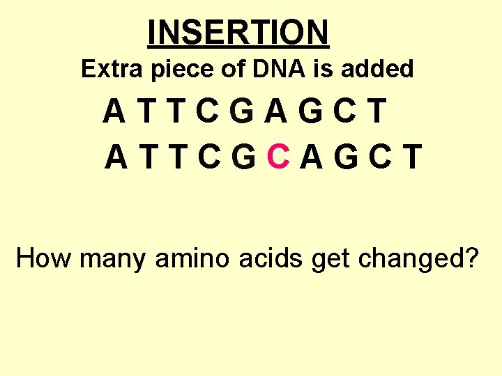 INSERTION Extra piece of DNA is added ATTCGAGCT ATTCGCAGCT How many amino acids get