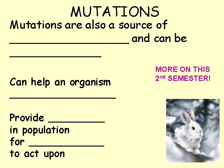 MUTATIONS Mutations are also a source of _________ and can be _______ Can help