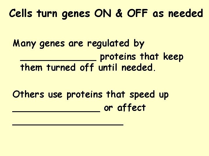 Cells turn genes ON & OFF as needed Many genes are regulated by _______