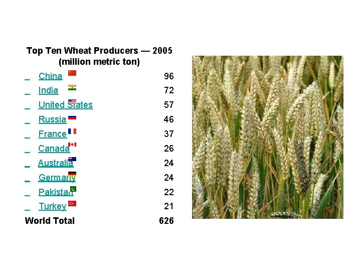 Top Ten Wheat Producers — 2005 (million metric ton) China 96 India 72 United