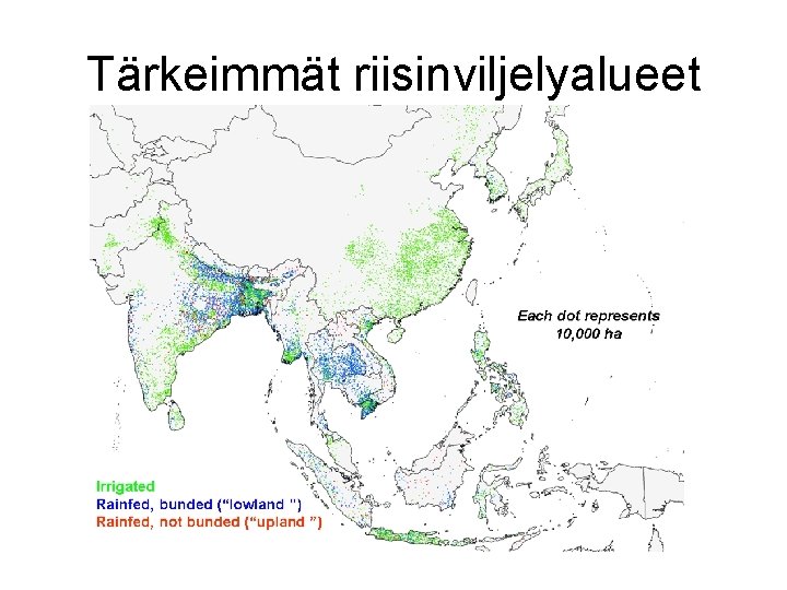 Tärkeimmät riisinviljelyalueet 