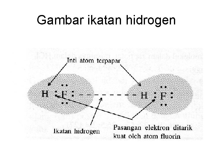 Gambar ikatan hidrogen 