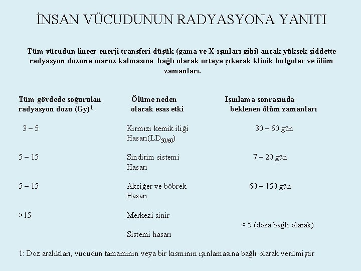 İNSAN VÜCUDUNUN RADYASYONA YANITI Tüm vücudun lineer enerji transferi düşük (gama ve X-ışınları gibi)