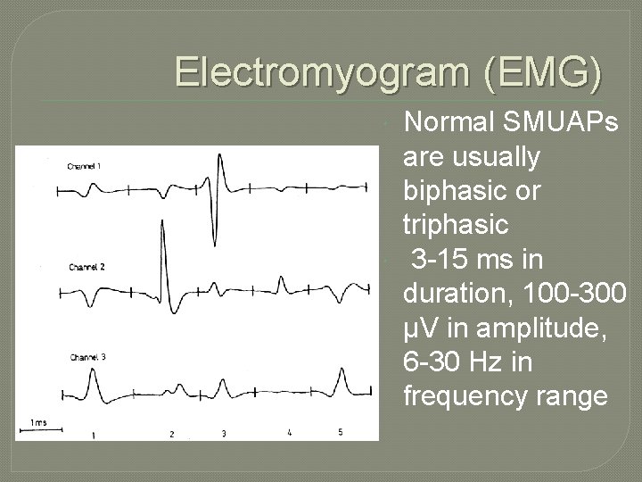 Electromyogram (EMG) Normal SMUAPs are usually biphasic or triphasic 3 -15 ms in duration, Electromyogram (EMG) Normal SMUAPs are usually biphasic or triphasic 3 -15 ms in duration,