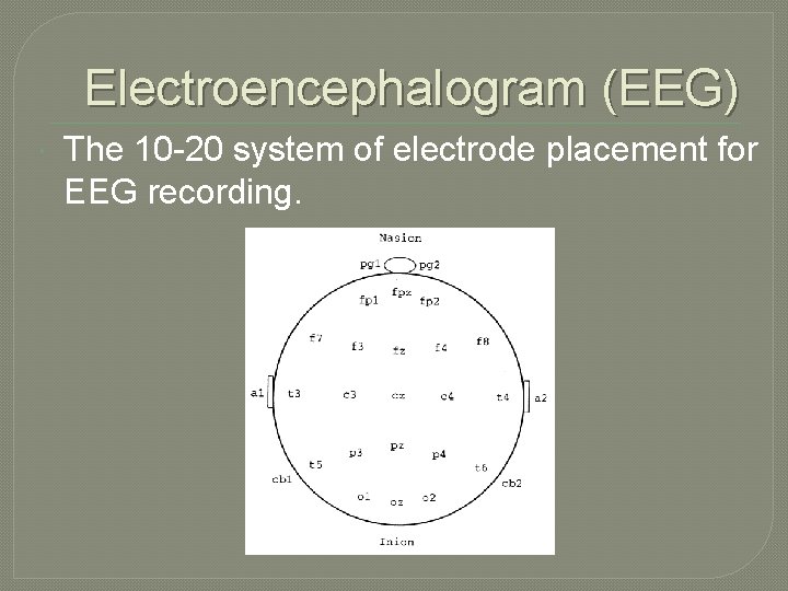 Electroencephalogram (EEG) The 10 -20 system of electrode placement for EEG recording. Electroencephalogram (EEG) The 10 -20 system of electrode placement for EEG recording.