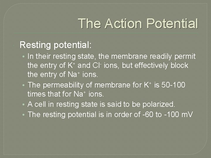 The Action Potential Resting potential: • In their resting state, the membrane readily permit The Action Potential Resting potential: • In their resting state, the membrane readily permit