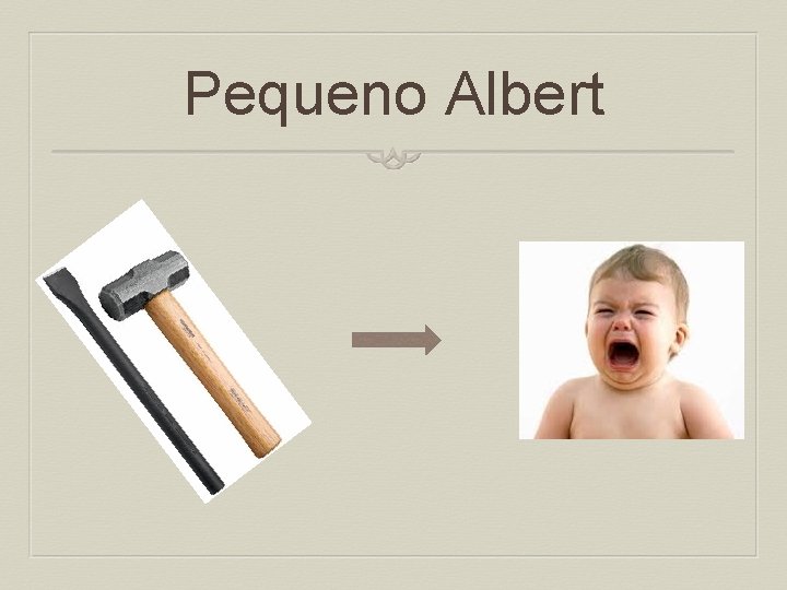 Pequeno Albert 