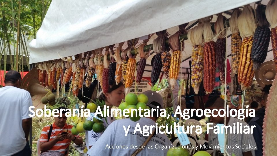 Soberanía Alimentaria, Agroecología y Agricultura Familiar Acciones desde las Organizaciones y Movimientos Sociales 