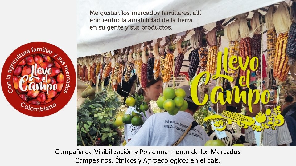 Campaña de Visibilización y Posicionamiento de los Mercados Campesinos, Étnicos y Agroecológicos en el