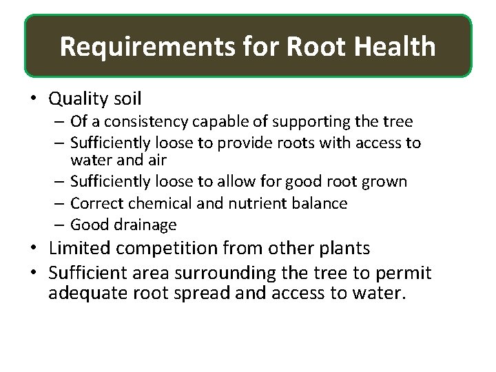 Requirements for Root Health • Quality soil – Of a consistency capable of supporting