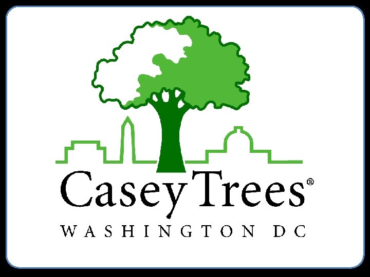 Restoring, enhancing and protecting the tree canopy of the Nation’s Capital. 