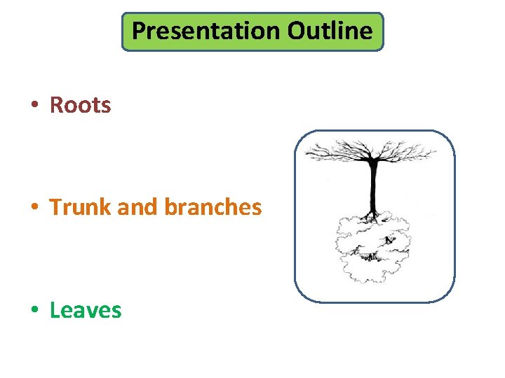 Presentation Outline • Roots • Trunk and branches • Leaves 