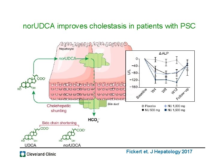 nor. UDCA improves cholestasis in patients with PSC Fickert et. J Hepatology 2017 