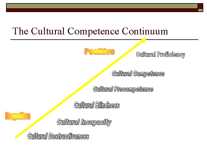 The Cultural Competence Continuum 