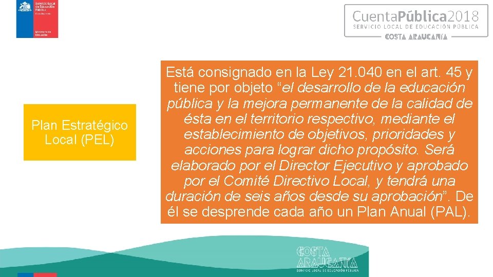Plan Estratégico Local (PEL) Está consignado en la Ley 21. 040 en el art.