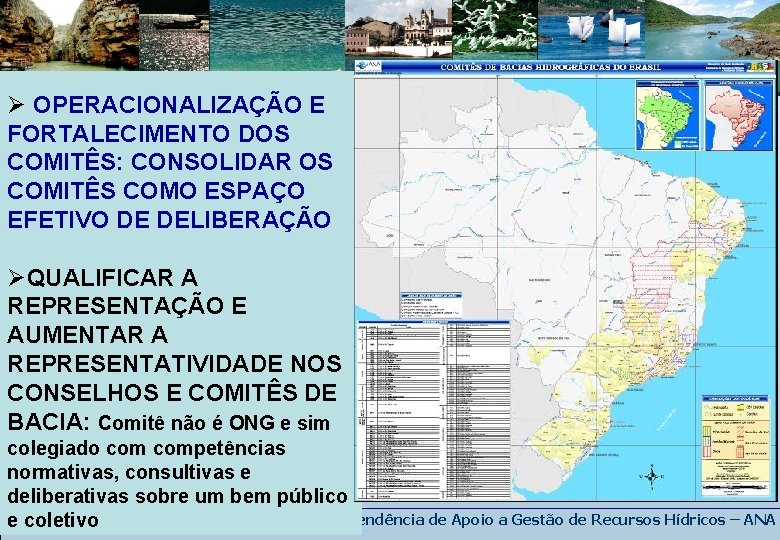 Ø OPERACIONALIZAÇÃO E FORTALECIMENTO DOS COMITÊS: CONSOLIDAR OS COMITÊS COMO ESPAÇO EFETIVO DE DELIBERAÇÃO