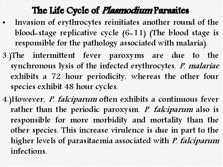 The Life Cycle of Plasmodium Parasites Invasion of erythrocytes reinitiates another round of the