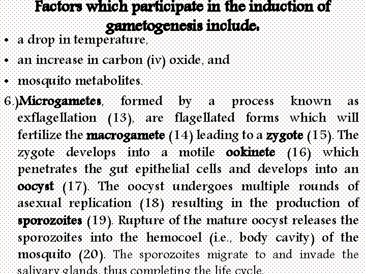 Factors which participate in the induction of gametogenesis include: • a drop in temperature,