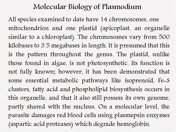 Molecular Biology of Plasmodium All species examined to date have 14 chromosomes, one mitochondrion