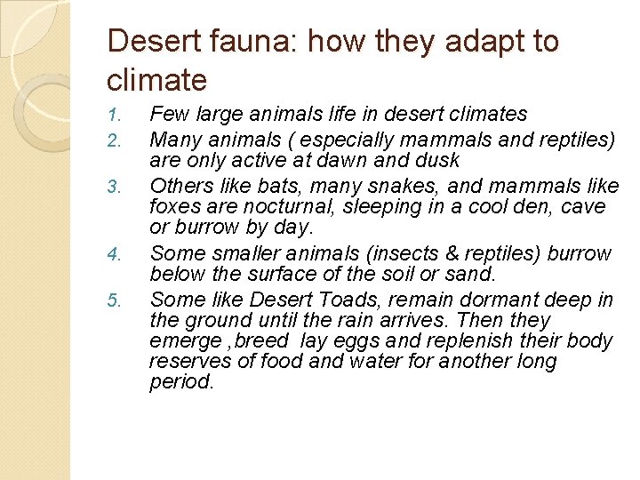 Desert fauna: how they adapt to climate 1. 2. 3. 4. 5. Few large