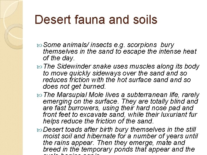 Desert fauna and soils Some animals/ insects e. g. scorpions bury themselves in the