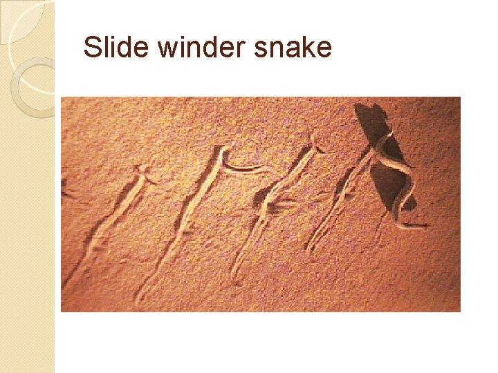 Slide winder snake 