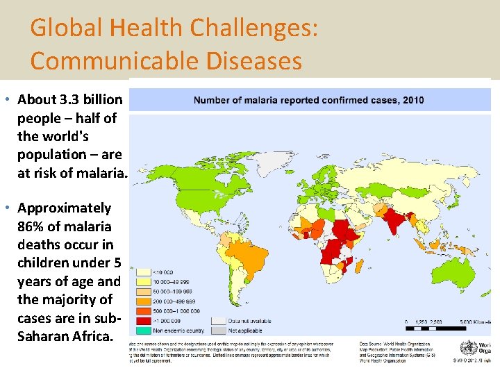 Global Health Challenges: Communicable Diseases • About 3. 3 billion people – half of