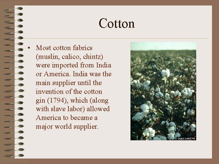 Cotton • Most cotton fabrics (muslin, calico, chintz) were imported from India or America.